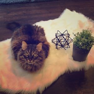 🎀Welcome to my closet!!🎀